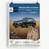 Gráfica suricatos Ein Projekt aus dem Bereich Design und Kunstleitung von Betsabé Blanco Sánchez - 22.11.2014
