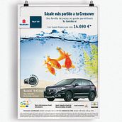 Gráfica peces Ein Projekt aus dem Bereich Kunstleitung und Design von Betsabé Blanco Sánchez - 22.11.2014