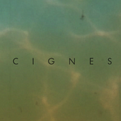 Vídeos. Een project van Animatie y Film, video en televisie van Roger Crespo Garriga - 27.11.2014