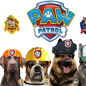 paw patrol. Un proyecto de Animación de Luis Giovanni Castillo Castro - 07.12.2014