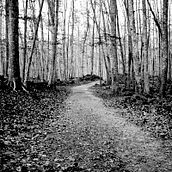 PAISAJE. Un progetto di Fotografia di Violeta Batista Sebé - 08.12.2014