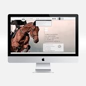 Seguros Hípicos. Web Development, Art Direction, Graphic Design, and Web Design project by La Diferencia - 01.25.2014