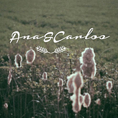 Ana :: Carlos. Film, Video, and TV project by UnParDeMedias - 12.11.2014