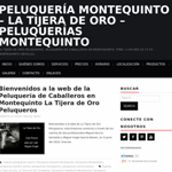 La Tijera de Oro. Projekt z dziedziny Web design użytkownika Fco Javier Merino - 17.12.2014