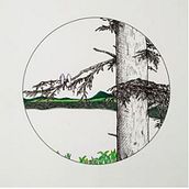 Ilustración a mano para el sector editorial.  Ein Projekt aus dem Bereich Bildende Künste und Traditionelle Illustration von Patricia Quel (Artdeistudio) - 08.02.2018