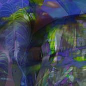 Se marchita en mi. Animation, Film, Video, TV, Collage, and Music project by Malitzin Cortes - 01.12.2015