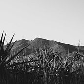 Desert. Un proyecto de Fotografía de Anna Peletero - 13.01.2015