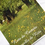 Folleto || Ruta de la castaña. Graphic Design project by ana_pineiro - 01.15.2012