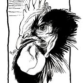 Roosters (Gallos). Un progetto di Illustrazione tradizionale di Martín Enrique Pelozo - 26.10.2014