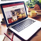 Centre Tao. Web Development, and Web Design project by laKarulina - 12.03.2014