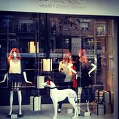 Show Window Design. Interior Design, and Set Design project by Olisse, vestit i complement - 02.09.2015