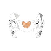 Portada para BCN MÈS - Ciutat sÒN. Projekt z dziedziny Design, Projektowanie graficzne, Trad, c i jna ilustracja użytkownika Alicia de Manuel - 31.01.2015