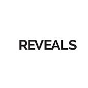 Reveals Magazine. Project for Web design. Un progetto di Web design di Nuria Lucas Villaverde - 09.02.2015