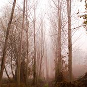 Intoxicació. Un projet de Beaux Arts , et Photographie de Dori Barranco Cabrerizo - 16.02.2015