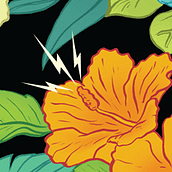PAUS. Graphic Design, and Traditional illustration project by Malmö illustration & design - 02.22.2015