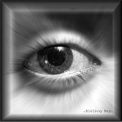 . Alguien nos vigila.  . Fotografie de Bielbog Rey - 03.05.2015