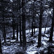 Nature. Fine Arts, Set Design, Photograph, and Video project by Paula P. Vergara - 03.06.2015