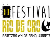 Cartel "Festival Rio de Oro". Un progetto di Design, Graphic design, Eventi e Pubblicità di Mikel del Arco Zumarraga - 14.05.2014