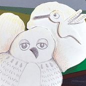 El salto del sapo, cuento de Gustavo Roldán. Un progetto di Illustrazione tradizionale di Lali Parra - 11.12.2014