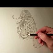 Korean tiger . % Julian Gracia tarafından hazırlanan Geleneksel illüstras, on, Ve Video projesi - 03.12.2015