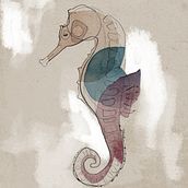 Caballito de mar y mariposa. Traditional illustration project by Guzk - 03.14.2015