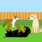 Bioturf. Animation, Character Design, and Motion Graphics project by Adolfo Ruiz MendeS - 03.15.2015