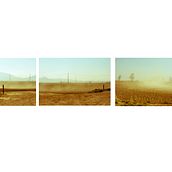 Pols. Photograph project by Roser Arques Morueta - 03.23.2015