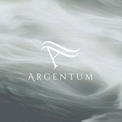 Argentum. Br, ing, Identit, Design, Editorial Design, and Web Design project by Sara García Vega - 03.31.2015
