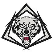 Wolf. Projekt z dziedziny Projektowanie graficzne użytkownika Antonio Lopez Jimenez - 01.04.2015