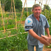Cultivar da sus frutos. Un proyecto de Cine, vídeo, televisión y Post-producción fotográfica		 de Gara Caballero - 20.07.2014