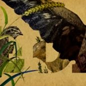 Veda abierta. Un projet de Illustration traditionnelle , et Motion design de Santiago Liébana - 05.04.2015