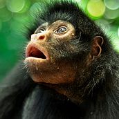 Serere, una fortuna en vida - Documental Ein Projekt aus dem Bereich Kino, Video und TV von Alberto Carboni - 17.04.2014