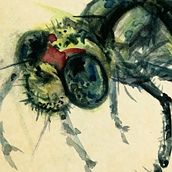 Animales Paleontologícos. Projekt z dziedziny Trad, c i jna ilustracja użytkownika Ferminko - 12.04.2015