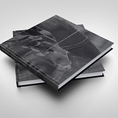 La mora. Una fuente, muchas vidas. Een project van Redactioneel ontwerp y Grafisch ontwerp van Estudio Mique - 16.11.2009