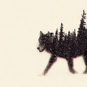 Animals - Proyecto de Experimentos Fotográficos. Een project van  Beeldende kunst, Grafisch ontwerp y Fotografie van Alexis Pérez Riquelme - 26.04.2015