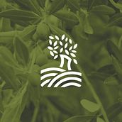  Ingeniera Técnico Agrícola. Br, ing, Identit, Design, and Photograph project by Francisco Galiano - 05.10.2015