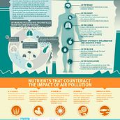 Infografía sobre como afecta la polución en la salud y como las vitaminas pueden mejorar nuestro estado.. Design & Information Design project by Alfonso Panduro - 05.10.2015