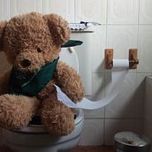 Oso en el Baño. Un progetto di Fotografia di Antonio Morales - 17.05.2015