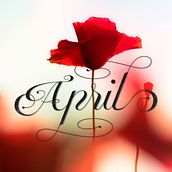 April. Calligraph, Graphic Design, T, and pograph project by Mercè Núñez Mayoral - 05.18.2015
