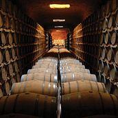 fotos de bodegas. Projekt z dziedziny Fotografia użytkownika Eugenia Cruz - 19.05.2015