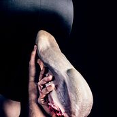 Il perturbatore, gran sovvertitore.. Fotografia projeto de Ilde Sandrin - 31.05.2015