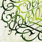 Claros del Bosque. Calligraph project by Ricardo Rousselot Schmidt - 10.09.2013