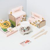 Printemps Take Away. Br, ing, Identit, Art Direction, Graphic Design, Traditional illustration, and Packaging project by Olaya Pintado - 06.05.2015