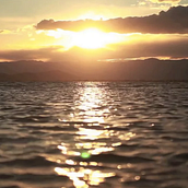 Web Doc - Barcelona llum de sal. Film, Video, and TV project by Pedro Azevedo Dias - 06.10.2014