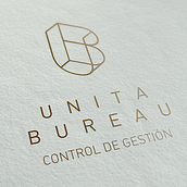 Restyle Unita Bureau. Br, ing, Identit, Web Development, Art Direction, Design, Graphic Design, and Web Design project by Guillermo Alonso Piñero - 06.17.2015