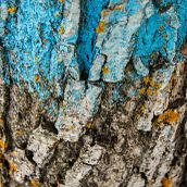 TEXTURAS. Projekt z dziedziny  Sztuki piękne i Fotografia użytkownika Marta Rodríguez de Tena - 22.06.2015