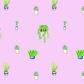 P. Un proyecto de Ilustración tradicional de La Tropical - 24.06.2015