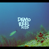 DEMO REEL 2015. Film, Video, and TV project by Juan Carlos Carrano Henríquez - 06.30.2015