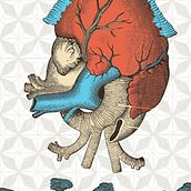 CoraHEART. Fine Arts, Design, Graphic Design, and Painting project by Roman Ortiz - 06.30.2015