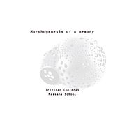 MORPHOGENESIS OF A MEMORY. Un proyecto de Artesanía, Bellas Artes, Diseño de complementos, Diseño de jo, as y Escultura de Trinidad Contreras - 30.06.2015